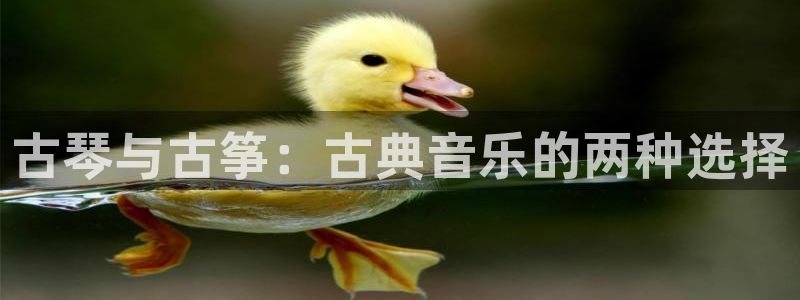 凯发国际是什么投资平台:古琴与古筝:古典音乐的两种选择