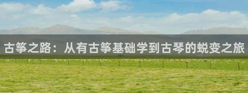 凯发k8娱乐现在还有吗:古筝之路:从有古筝基础学到古琴的蜕变